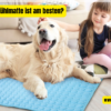 Welches Hundekühlmatte ist am besten