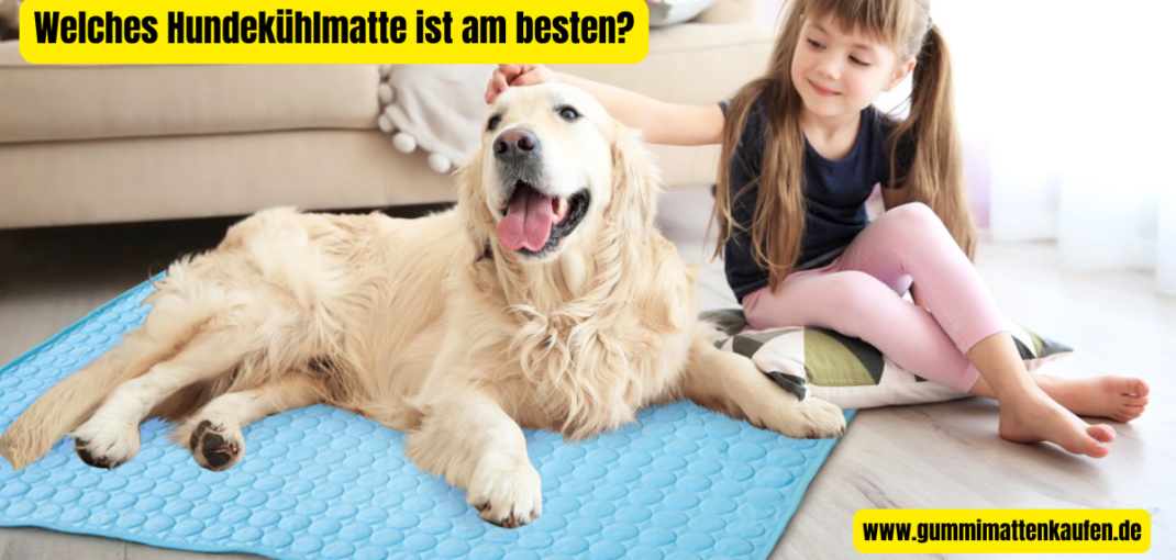 Welches Hundekühlmatte ist am besten